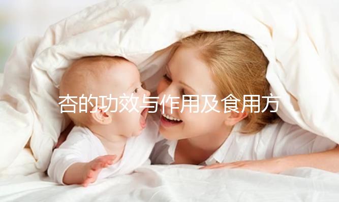 杏的功效與作用及食用方法(杏的吃法大全和功效)