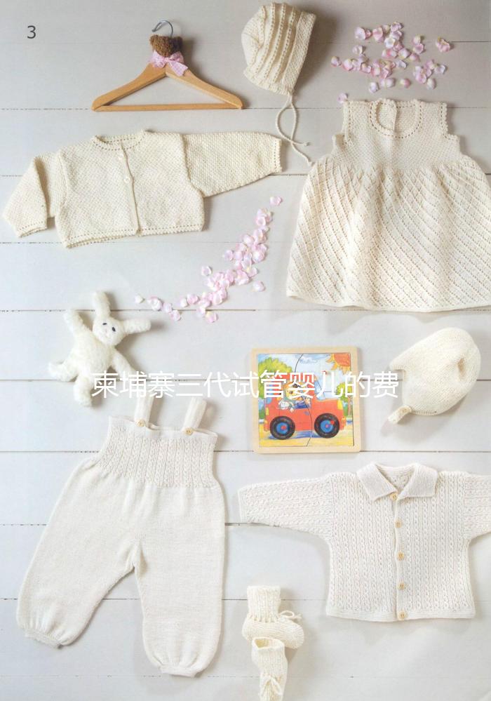 柬埔寨三代試管嬰兒的費用、成功率、流程一文說明！