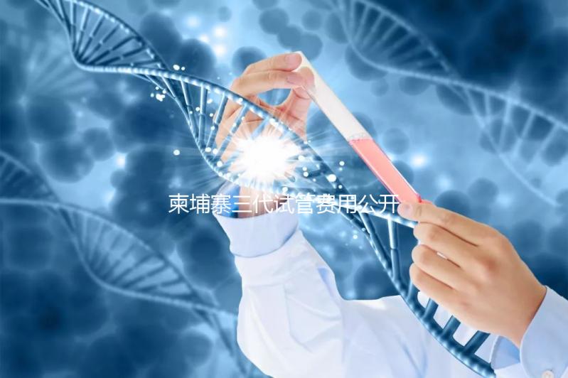 柬埔寨三代試管費用公開，不同項目價格不同