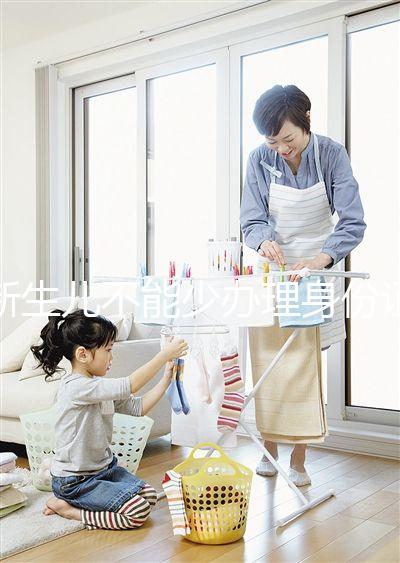 新生兒不能少辦理身份證材料和照片我需要在2024年到場