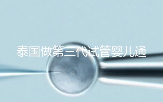 泰國做第三代試管嬰兒通常費用多少？高嗎？