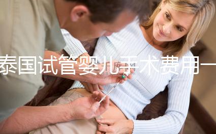 泰國(guó)試管嬰兒手術(shù)費(fèi)用一覽，2025年價(jià)格行情