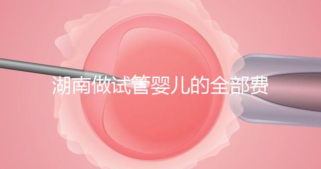 湖南做試管嬰兒的全部費用大概是多少錢？附湖南試管嬰兒醫院排名一覽！