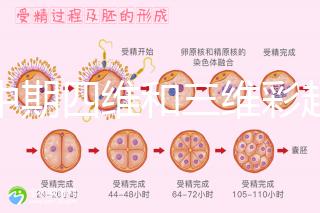 孕中期四維和三維彩超檢查區(qū)別真不小，看完便知誰更好