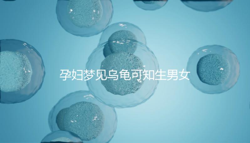 孕婦夢(mèng)見烏龜可知生男女?解讀相關(guān)胎夢(mèng)具體含義