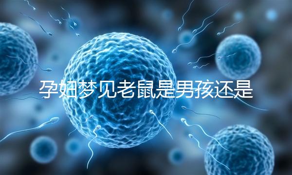 孕婦夢(mèng)見老鼠是男孩還是女孩不再糾結(jié)，詳細(xì)預(yù)兆解讀看這