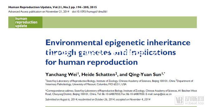 孕婦夢見駱駝為好夢!不同情形夢境象征含義解讀