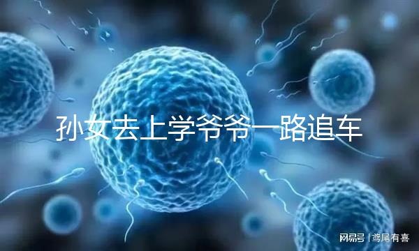 孫女去上學(xué)爺爺一路追車(chē)告別，網(wǎng)友：上了年紀(jì)淚點(diǎn)更低了