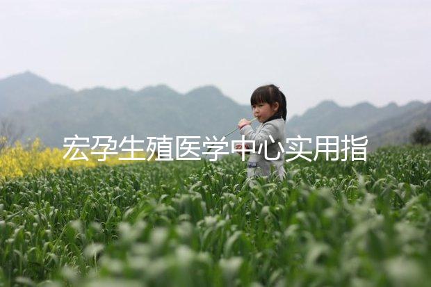 宏孕生殖醫(yī)學(xué)中心實用指南:醫(yī)院地址