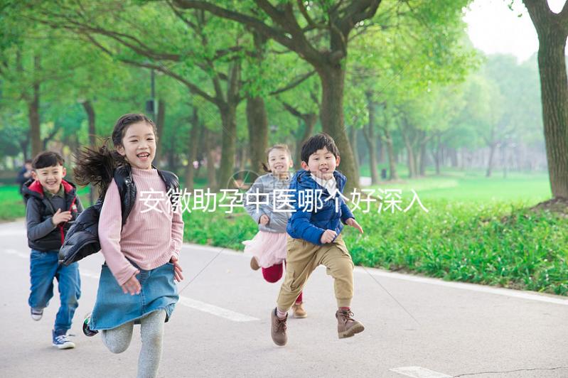 安徽助孕中醫哪個好深入分析？不要錯過合肥和蕪湖