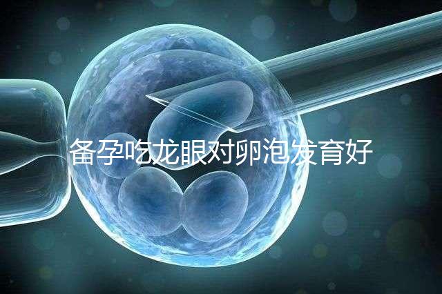 備孕吃龍眼對卵泡發育好處多，前提：發芽禁止食用