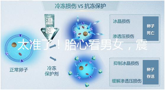 太準了！胎心看男女，震驚結果大于150就一定是女孩