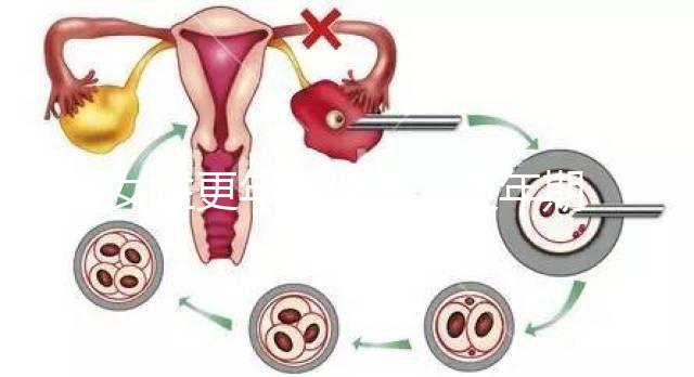 女性更年期保?。ǜ昶趮D女保健健康宣教）