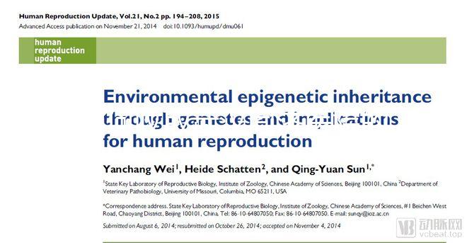 如何收取武漢同濟醫(yī)院的養(yǎng)囊費？查看最新試管費用明細(xì)估算？