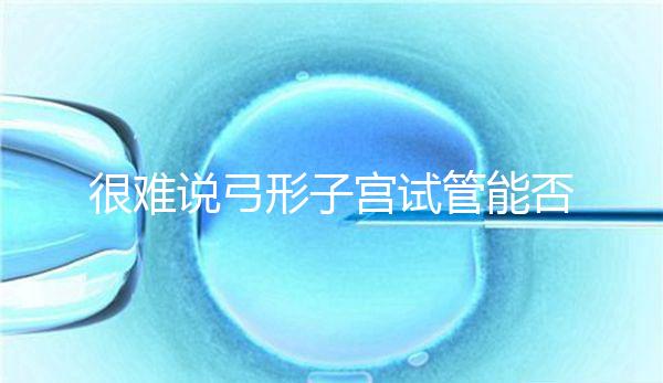 很難說弓形子宮試管能否成功足月生產，或者很難注意