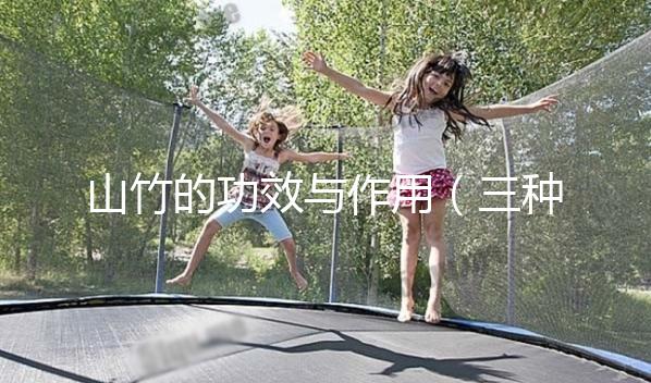 山竹的功效與作用(三種人不宜吃山竹)