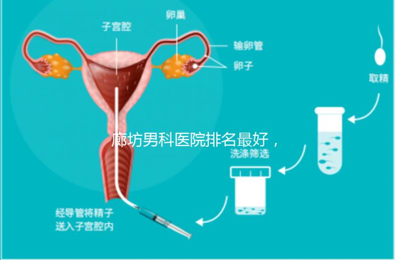 廊坊男科醫(yī)院排名最好,醫(yī)院出爐!廣陽這些機(jī)構(gòu)可以排隊(duì)
