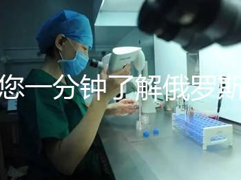 帶您一分鐘了解俄羅斯試管中心的費用明細(xì)，快速收集！