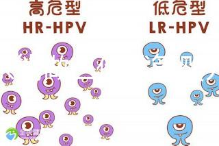 廣東能做三代試管嬰兒醫院是哪三家？附名單及優勢