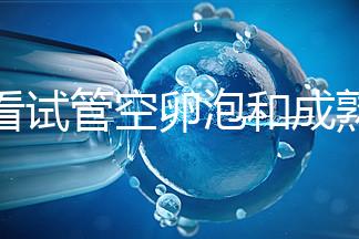速看試管空卵泡和成熟卵泡能否區(qū)分開，這兩大技巧學(xué)起來