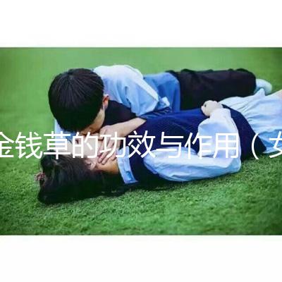 金錢草的功效與作用(女人長(zhǎng)期喝金錢草的好處)