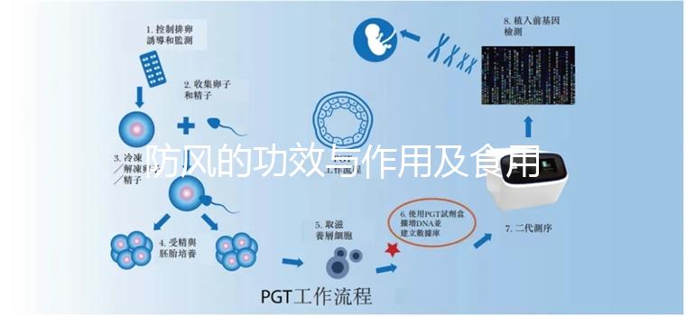 防風(fēng)的功效與作用及食用方法（防風(fēng)的功效與作用及食用方法分別是什么？）