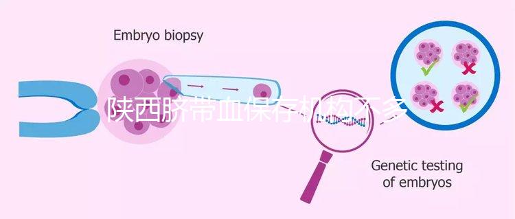 陜西臍帶血保存機構(gòu)不多,咸陽想自存請準備好費用去合肥