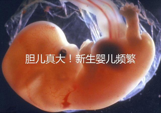 膽兒真大！新生嬰兒頻繁打嗝不要游泳以免嗆水