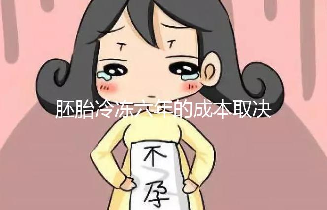 胚胎冷凍六年的成本取決于機構,解凍后是否可以移植