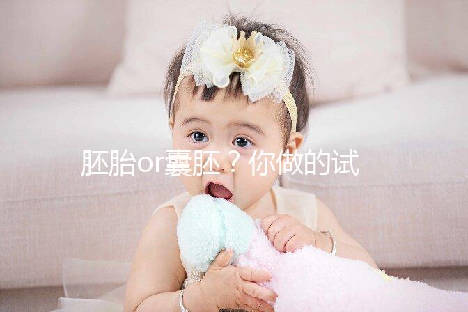 胚胎or囊胚？你做的試管嬰兒，移植的是第幾天的胚胎？