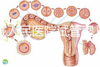聊城人民醫院試管嬰兒成功率怎么樣,3大助孕案例告訴你答案
