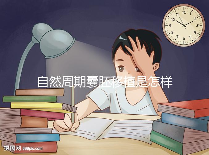 自然周期囊胚移植是怎樣的?5個(gè)步驟囊括所有流程