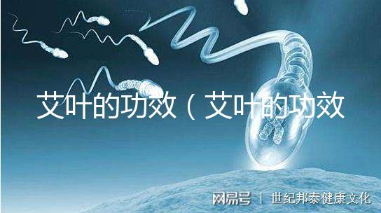 艾葉的功效（艾葉的功效與作用的功能與主治）