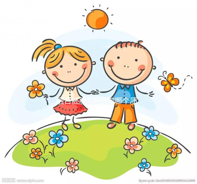 融合胚胎和8細胞哪個質量好大揭秘,二者區別看完就懂