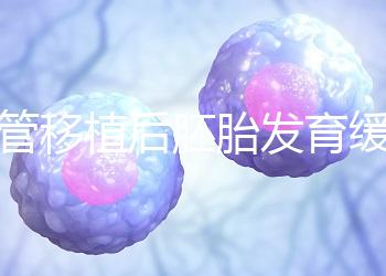 試管移植后胚胎發育緩慢，甚至胎停咋回事？3大高危因素要規避