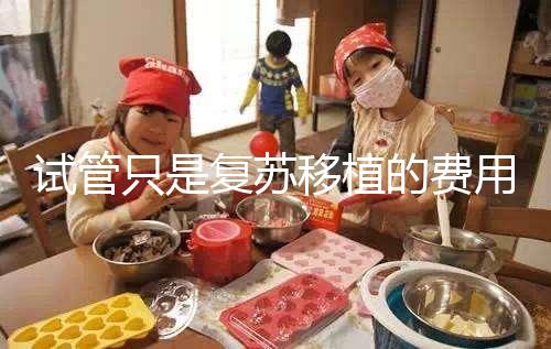 試管只是復蘇移植的費用并不高，看這就知道大概多少錢