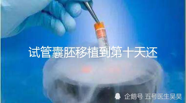 試管囊胚移植到第十天還是白板別擔心，放松心態(tài)等逆襲吧！