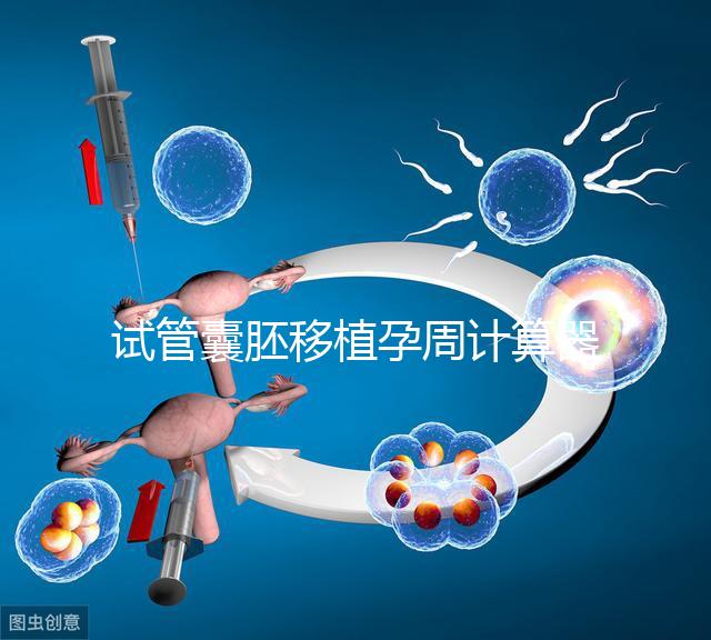 試管囊胚移植孕周計算器,試管嬰兒如何計算孕周和預(yù)產(chǎn)期