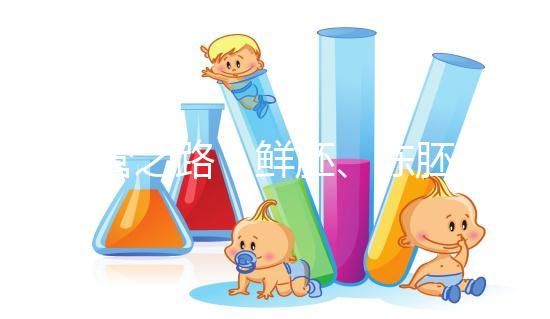 試管之路：鮮胚、凍胚、桑椹胚、囊胚，選擇哪種成功率更高？