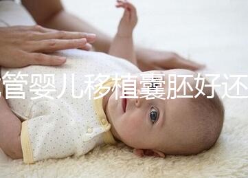 試管嬰兒移植囊胚好還是胚胎好,一文分析