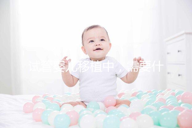 試管嬰兒移植中，需要什么樣的子宮內(nèi)膜條件？