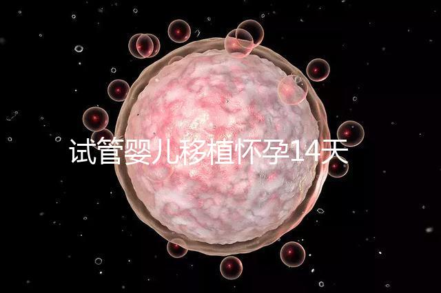 試管嬰兒移植懷孕14天，還能吃巧克力餅干嗎？