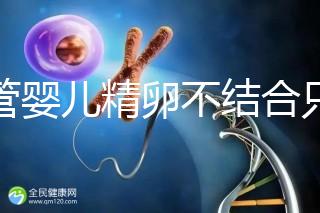 試管嬰兒精卵不結(jié)合只是基因問題?這幾大原因告知真相