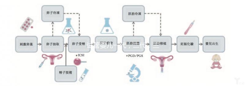 試管嬰兒一代,二代,三代有什么區別嗎,應該如何選擇?