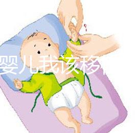 試管嬰兒我該移植鮮胚，囊胚還是凍胚呢？