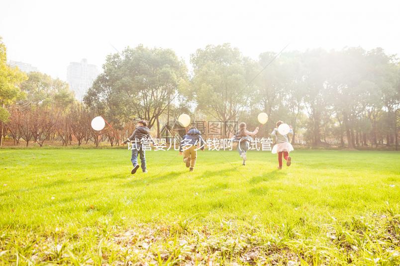 試管嬰兒多少錢(qián)啊(試管嬰兒多少錢(qián)啊一般來(lái)說(shuō))