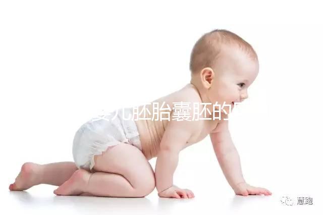 試管嬰兒胚胎囊胚的區別,成功率哪個高