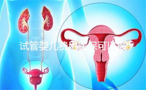 試管嬰兒費用醫保可以報銷嗎(北京試管嬰兒費用醫保可以報銷嗎)