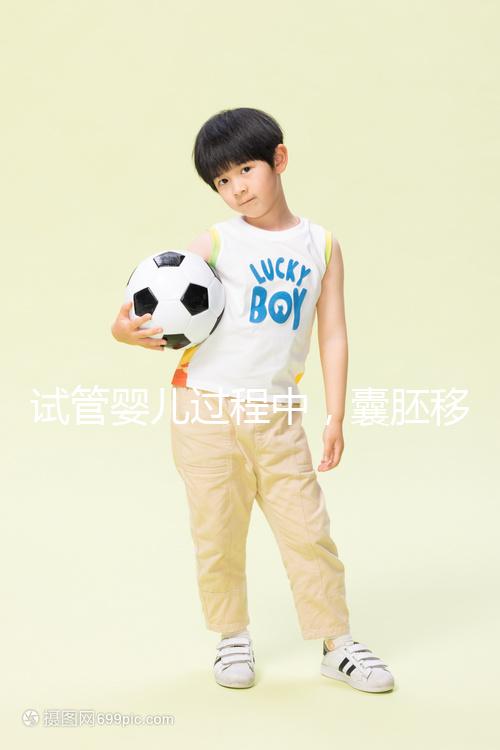 試管嬰兒過程中,囊胚移植和鮮胚移植哪個成功率更高?