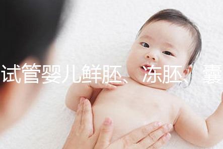 試管嬰兒鮮胚、凍胚、囊胚移植區(qū)別,看完秒懂怎么選